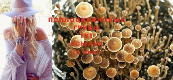 прущий лед Алексин